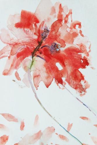 Red Flower 2
