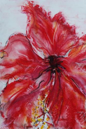 Red Flower 1