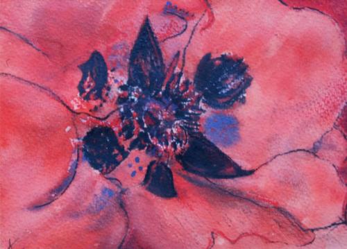 Red Flower 3
