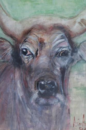 Sapi
